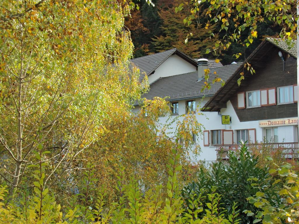 Hotel-Spa & Restaurant Logis Domaine Langmatt 穆尔巴赫 外观 照片
