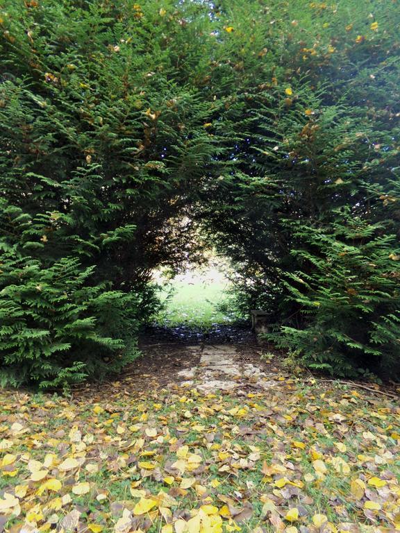 Hotel-Spa & Restaurant Logis Domaine Langmatt 穆尔巴赫 外观 照片