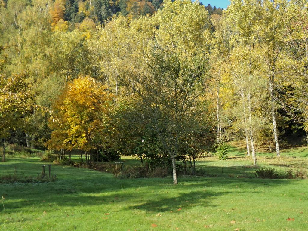 Hotel-Spa & Restaurant Logis Domaine Langmatt 穆尔巴赫 外观 照片