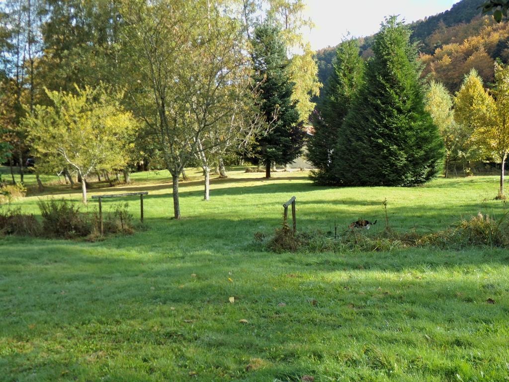 Hotel-Spa & Restaurant Logis Domaine Langmatt 穆尔巴赫 外观 照片